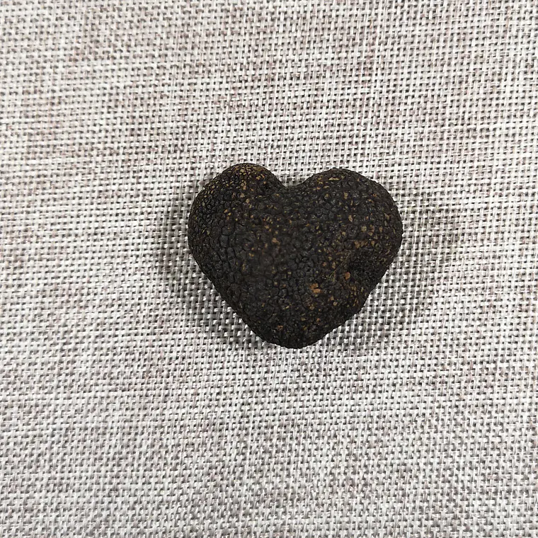  30 gr. Trufa negra Fresca (disponible JUNIO-JULIO-AGOSTO) 7