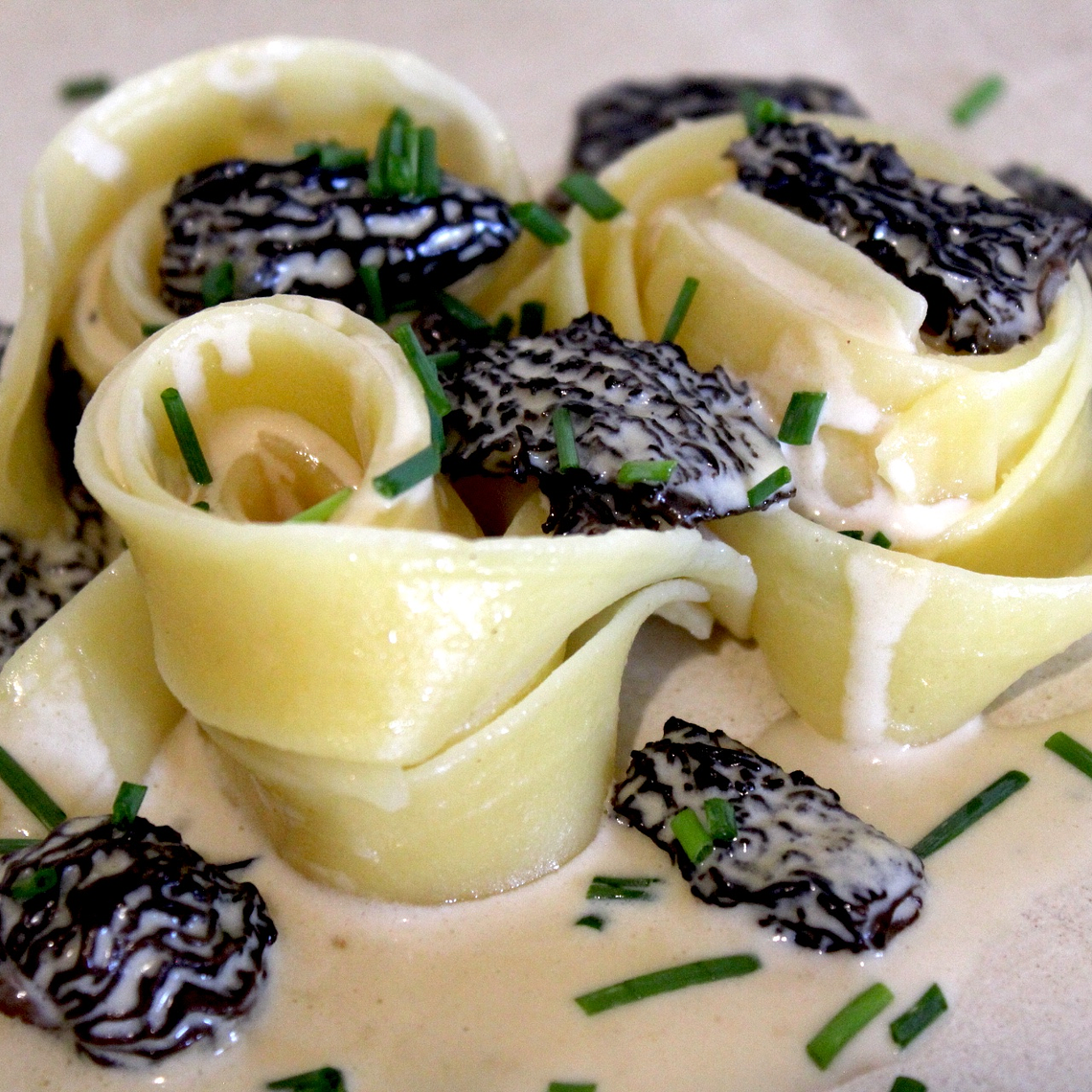 Morchelas deshidratadas 4