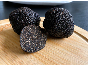 50 gr. de TRUFAS NEGRA FRESCA