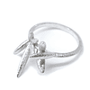 Containment and Explosion - Silver Ring CEA-010-P