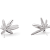 Containment and Explosion - Silver Earrings CEB-010-P