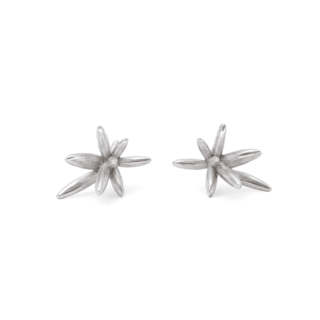 Containment and Explosion - Silver Earrings CEB-010-P