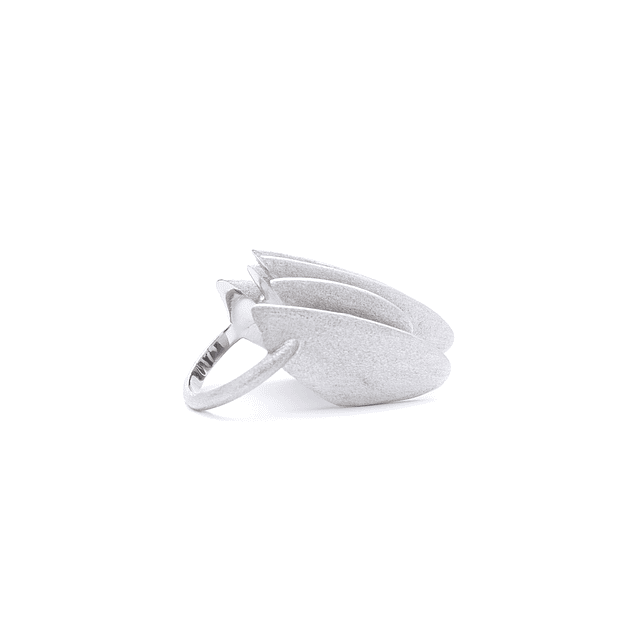 Containment and Explosion - Silver Ring CCA-014-P