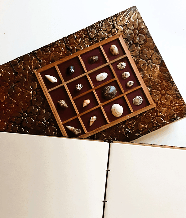 Cuadernos Colección