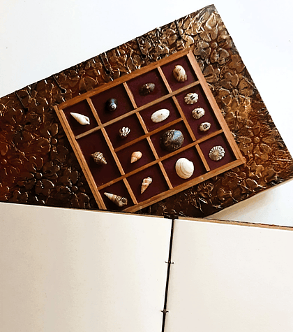 Cuadernos Colección