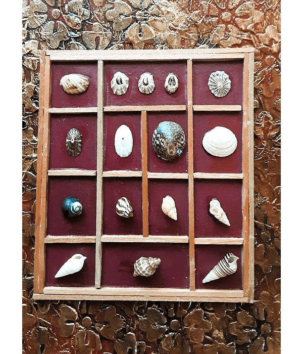 Cuadernos Colección