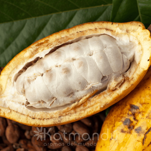 Manteca Cacao 100% Natural