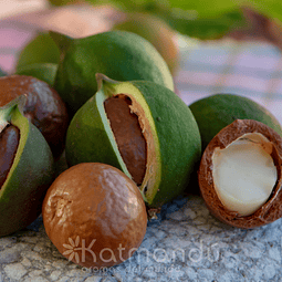 Aceite Macadamia