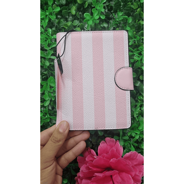 PORTAPASAPORTE ROSA VS NUEVA COLECCION