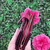 BILLETERA MK ROJA MEDIANA