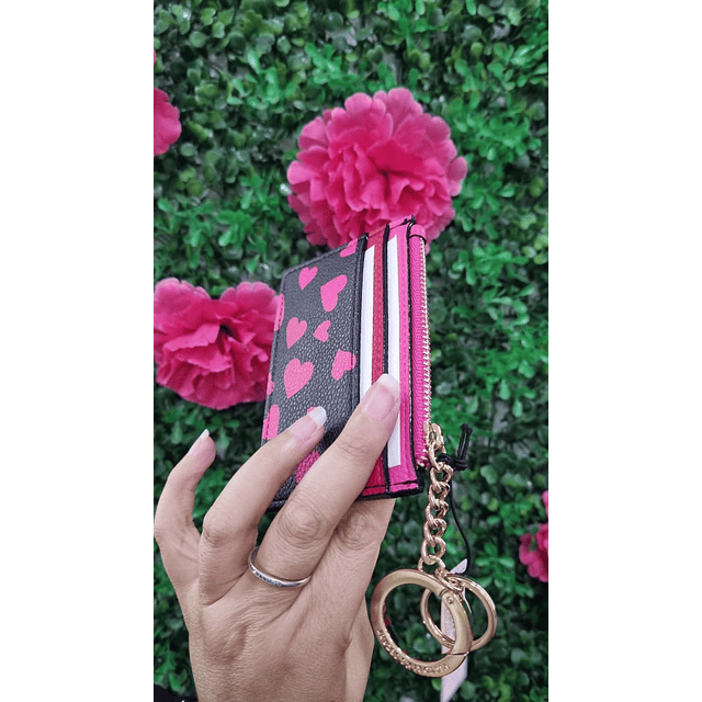 TARJETERO VS CON CORAZONES