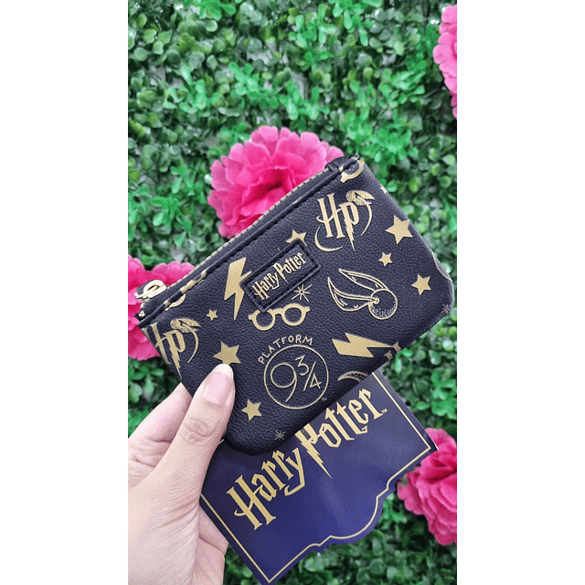 MONEDERO HARRY POTTER