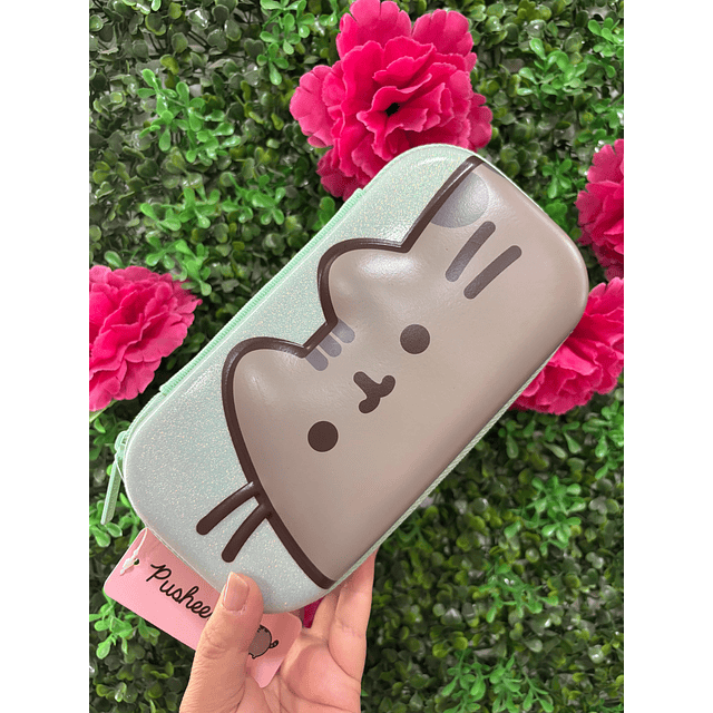 ESTUCHE BOX PUSHEEN TURQUESA