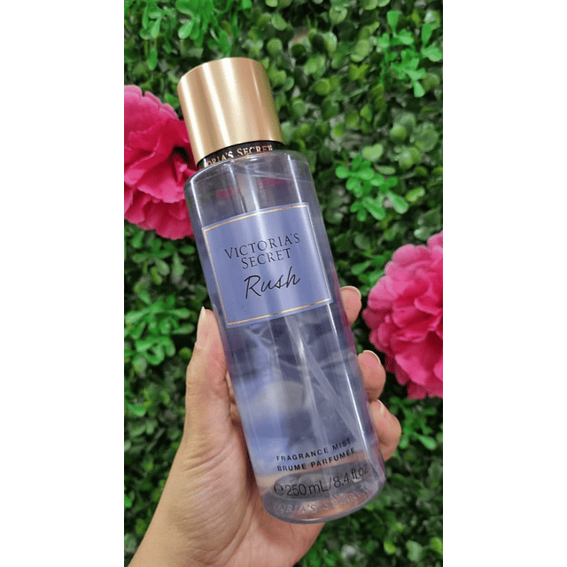 FRAGANCIA VS RUSH ED. 2025