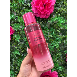 FRAGANCIA VS EDICION - CANYON BLOOMS 250ML