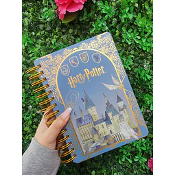 AGENDA HARRY POTTER 2027