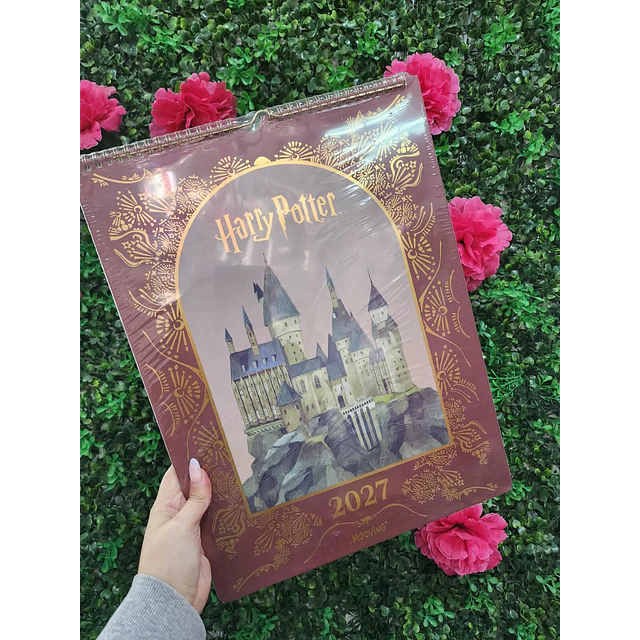 CALENDARIO DE PARED HARRY POTTER 2027