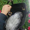 TOTE MK NEGRO MONOGRAMO 2 BOLSILLOS