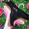 SET COLALES ENCAJE JUICY BRILLOS X5 - TALLA S