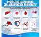 Nac + Glutation Colágeno Q10 Antioxidante Y Rejuvenecedor - Miniatura 6