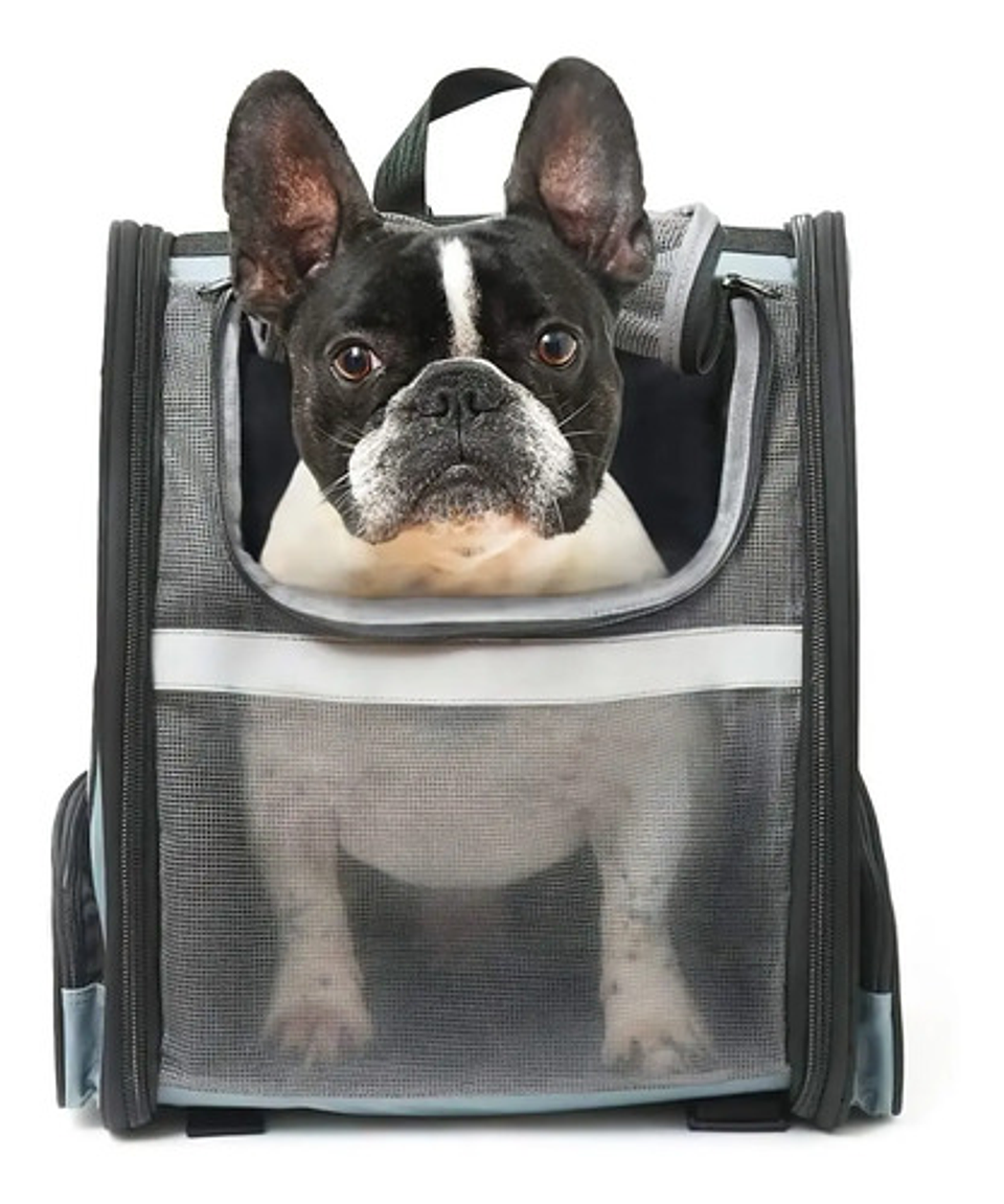 Mochila Plegable Para Mascotas, Malla Transpirable 1