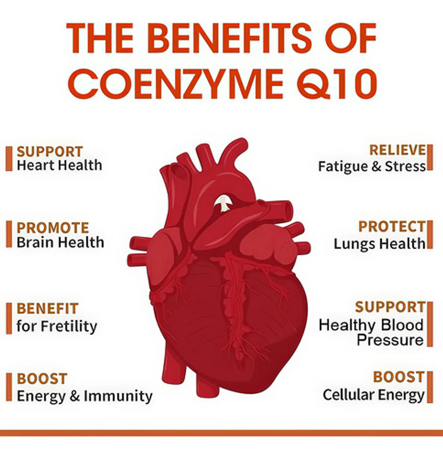 Coenzima Q10 500Mg Con Resveratrol Y Mct 120 Cápsulas 5