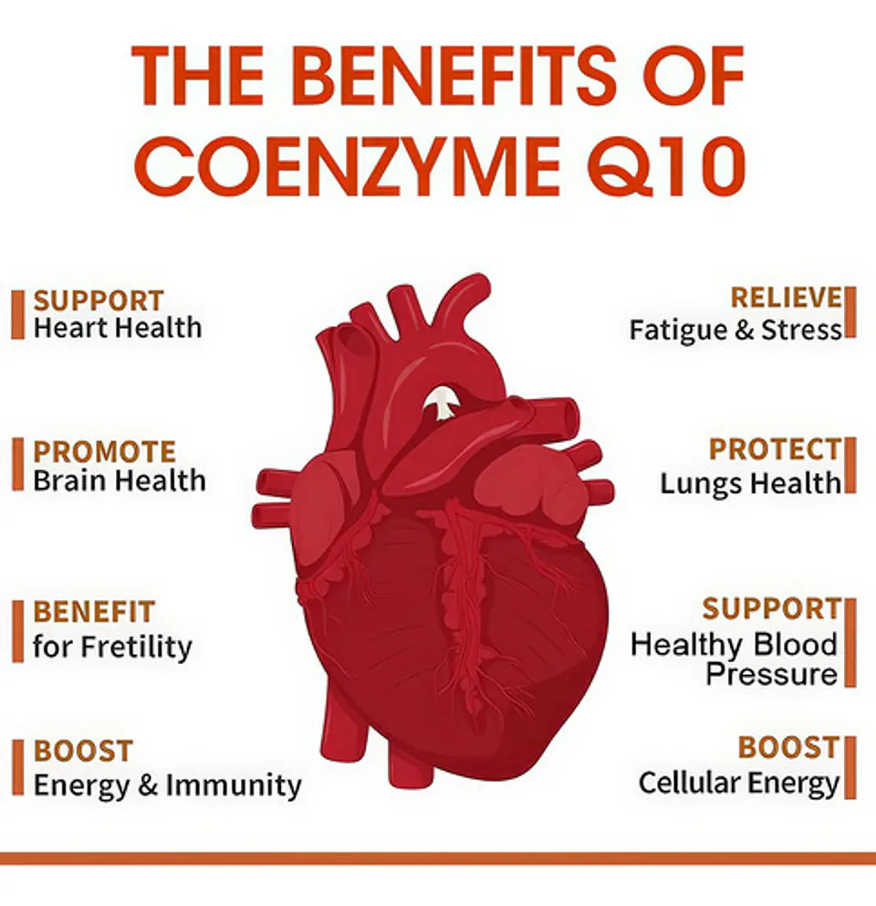 Coenzima Q10 500Mg Con Resveratrol Y Mct 120 Cápsulas 5