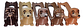 Pack Porta Completo Hotdog X 5 Unidades  - Miniatura 116