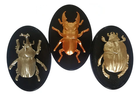 Decoración De Pared En Diseño De Escarabajos