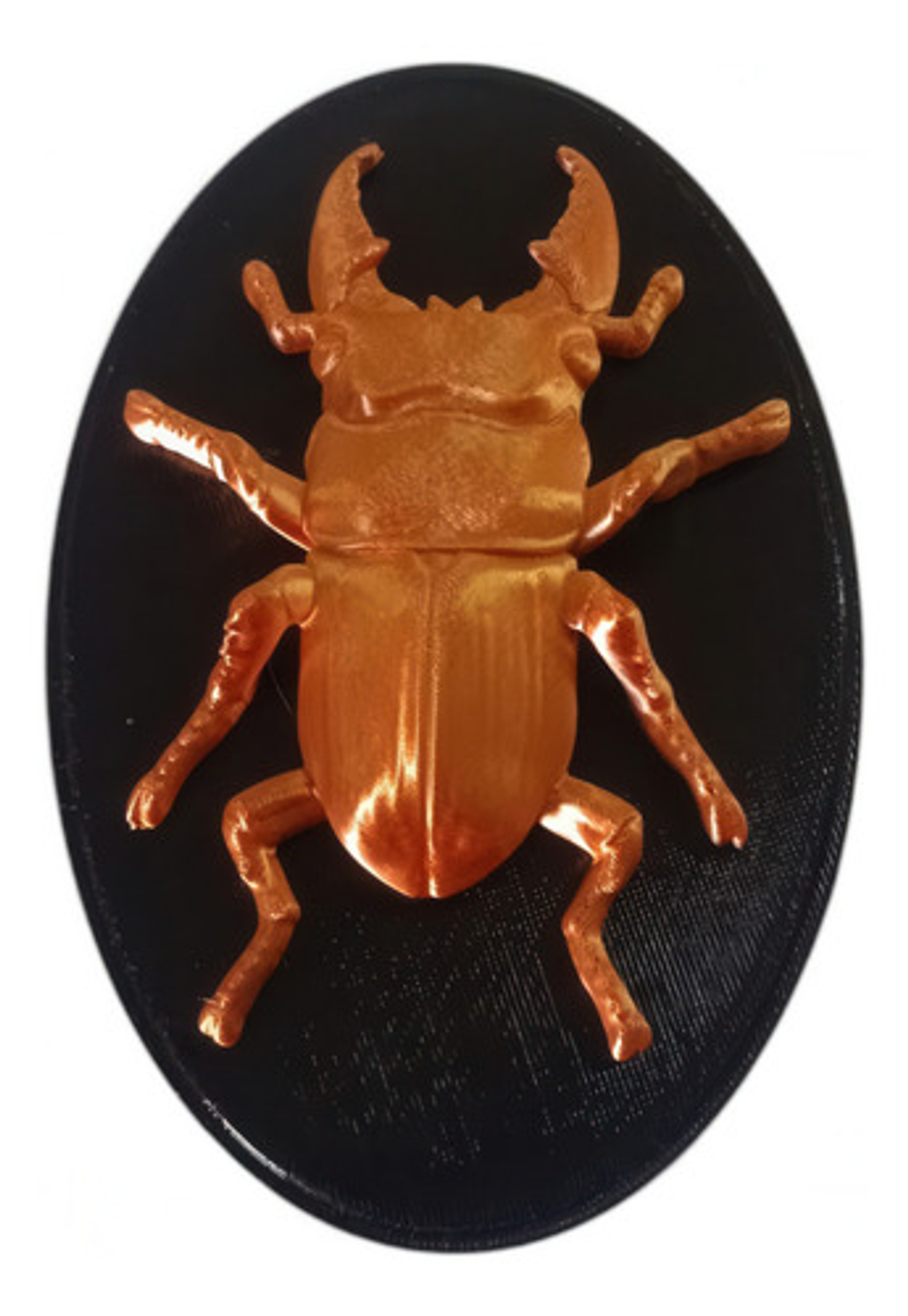 Decoración De Pared En Diseño De Escarabajos 3