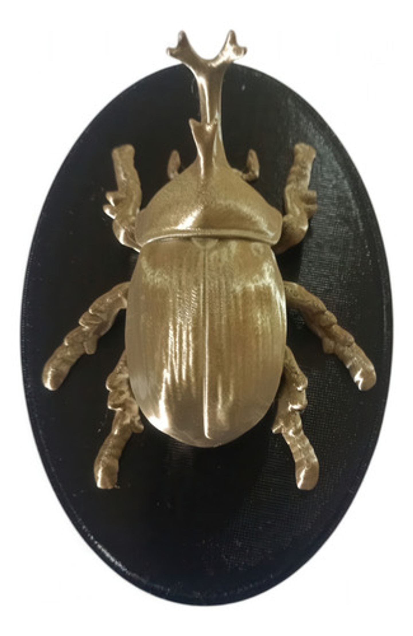 Decoración De Pared En Diseño De Escarabajos 4