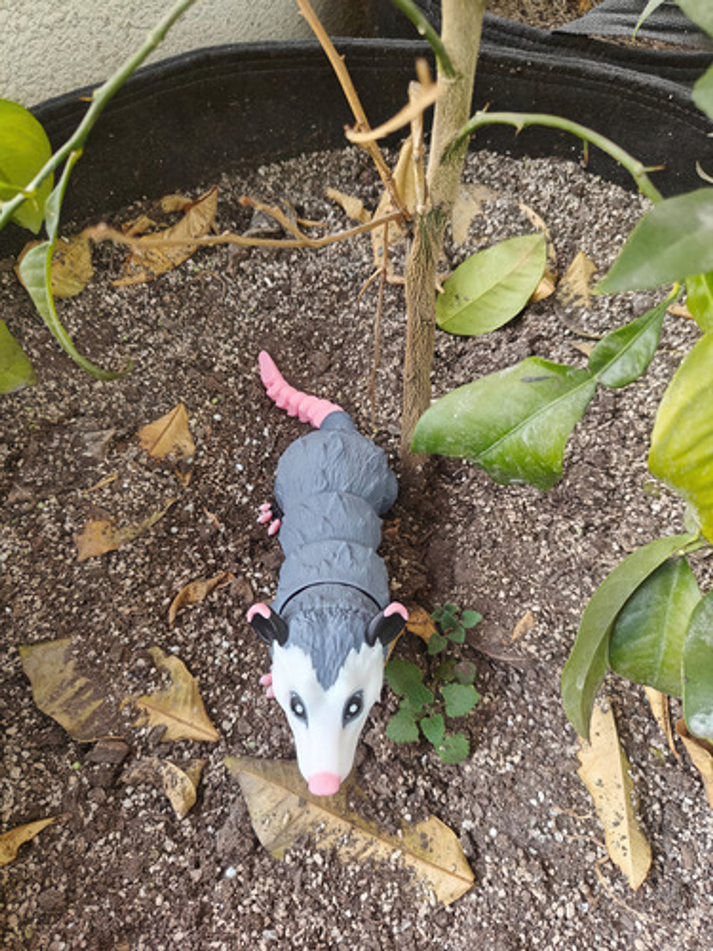 Figura De Zarigüeya Articulada Impresa En 3d 5