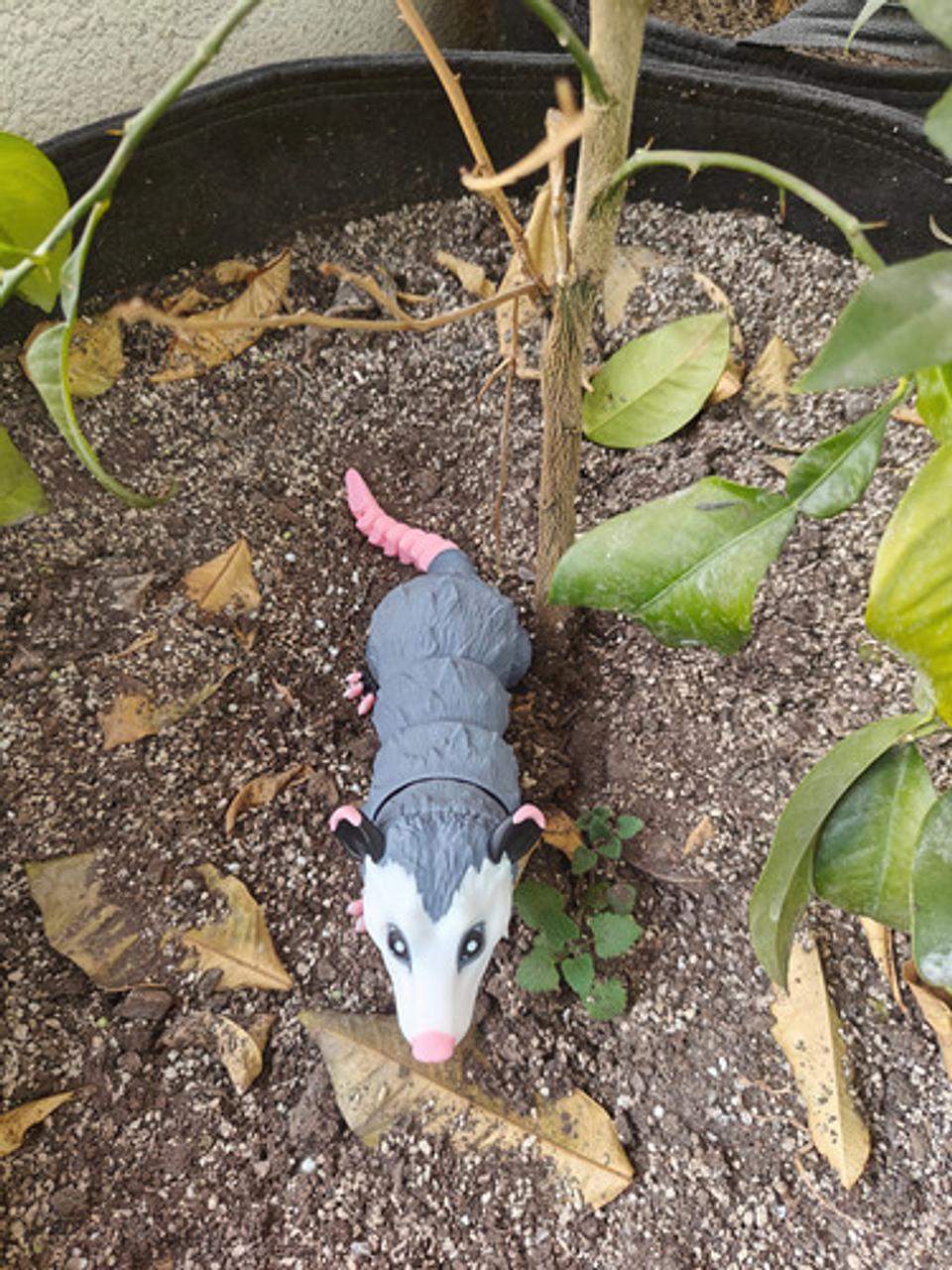 Figura De Zarigüeya Articulada Impresa En 3d 5