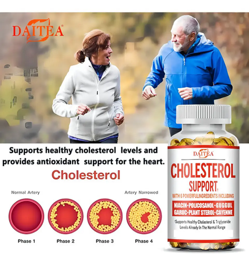 Cholesterol Formula Metabolica sin Sabor 2
