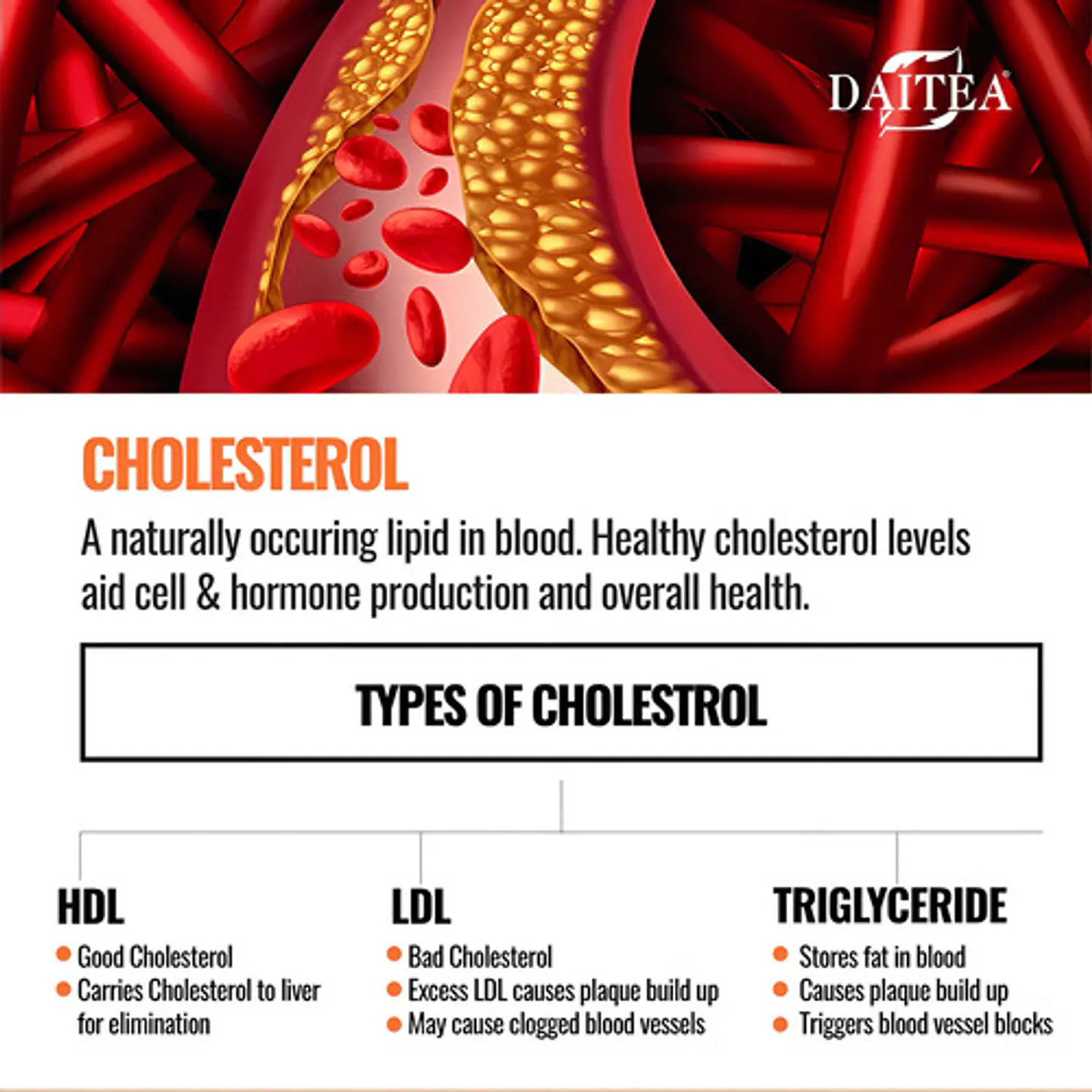 Cholesterol Formula Metabolica sin Sabor 4