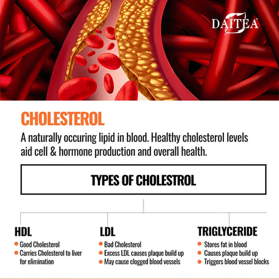 Cholesterol Formula Metabolica sin Sabor 4
