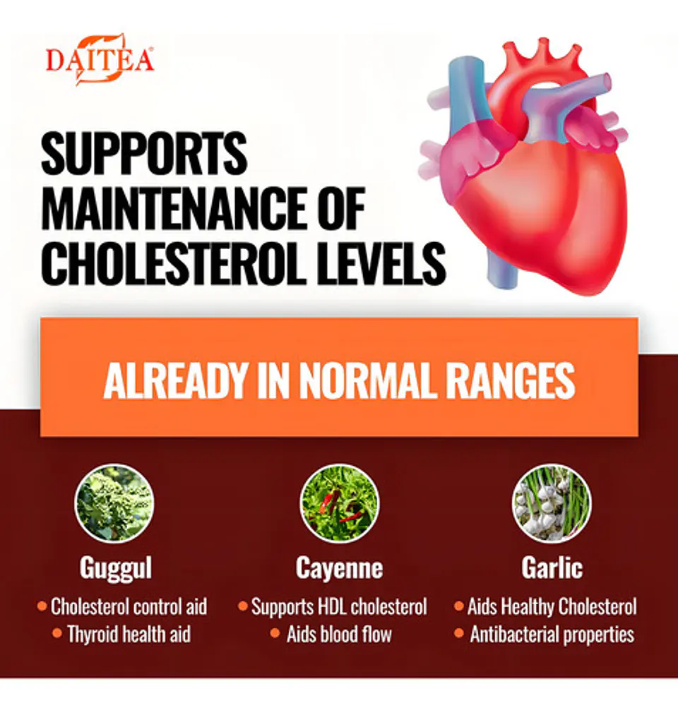 Cholesterol Formula Metabolica sin Sabor 6
