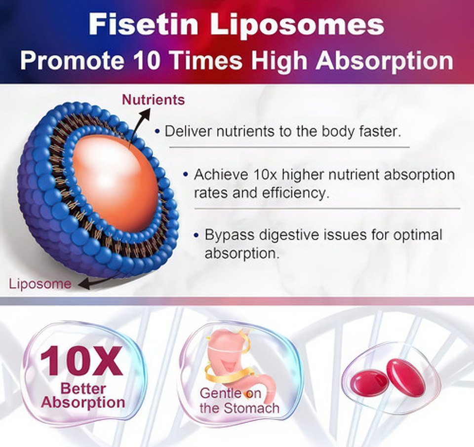 Fisetin Liposomal 1200mg  Máxima Biodisponibilidad Polifenol 3