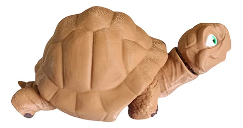 Figura De Tortuga Articulada