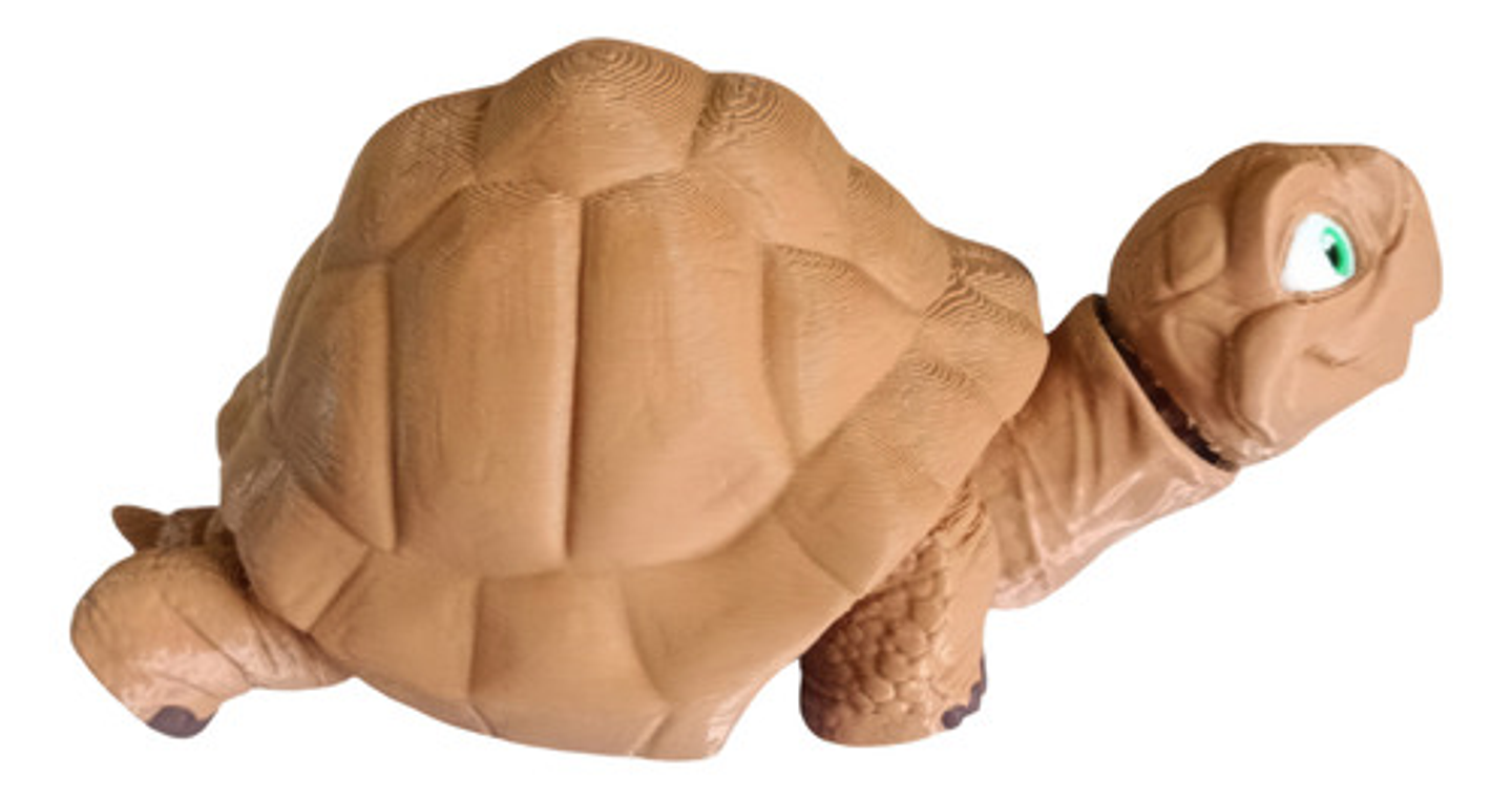 Figura De Tortuga Articulada 1