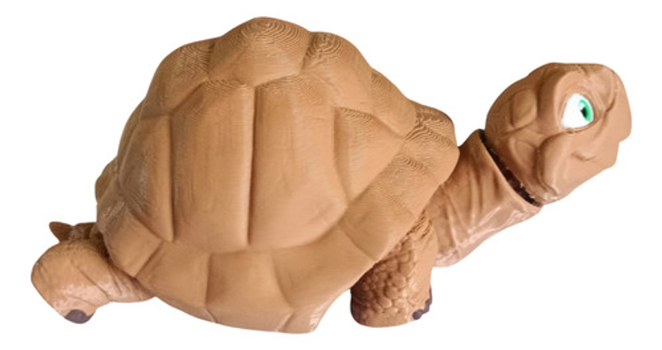 Figura De Tortuga Articulada 1