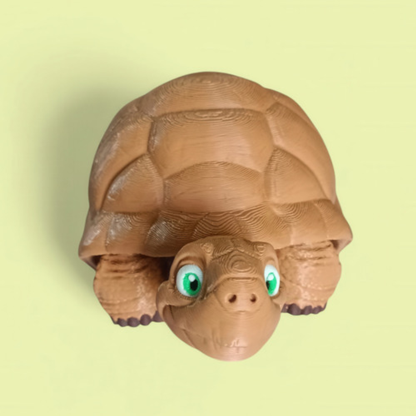 Figura De Tortuga Articulada 2