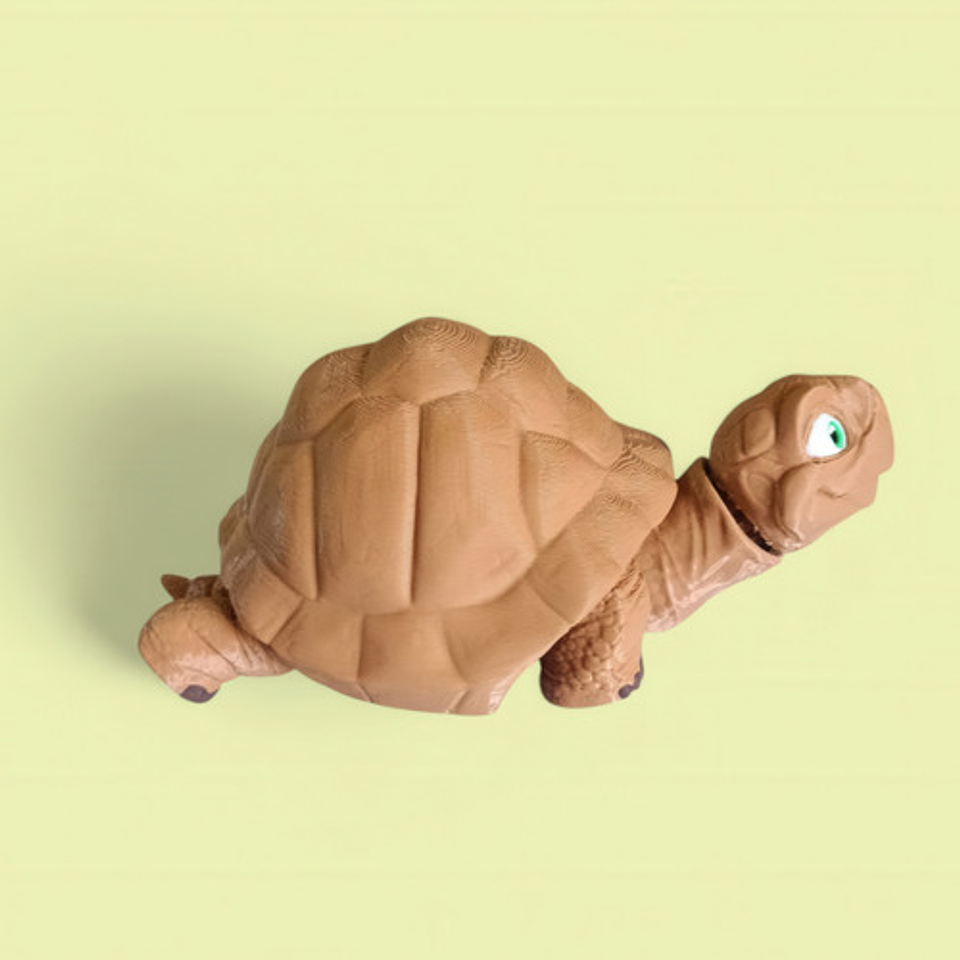 Figura De Tortuga Articulada 4