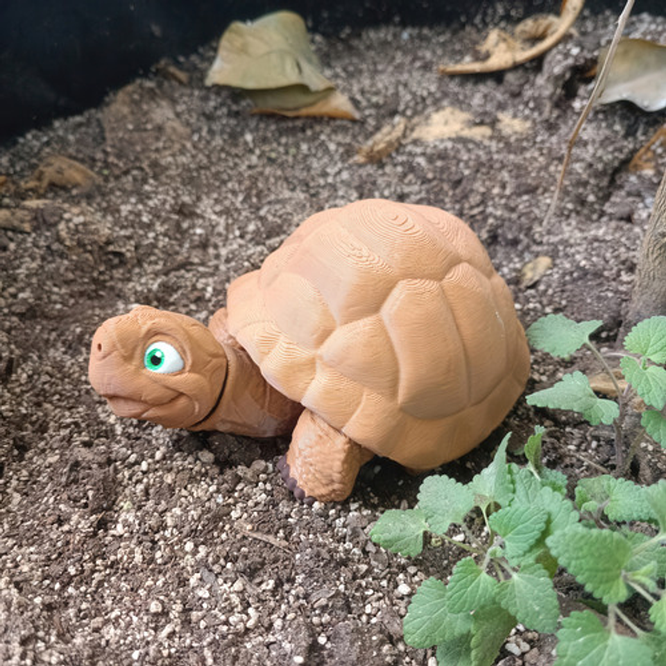 Figura De Tortuga Articulada 5