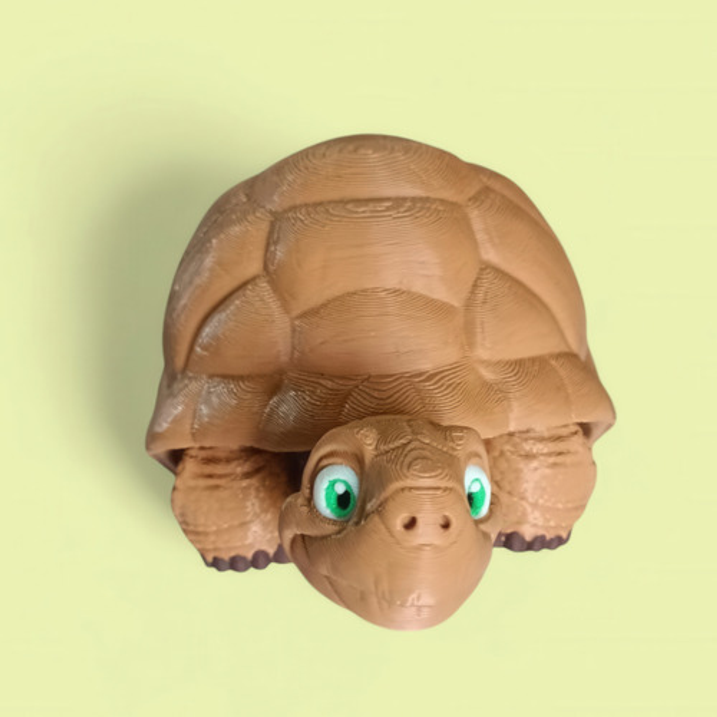 Figura De Tortuga Articulada 9