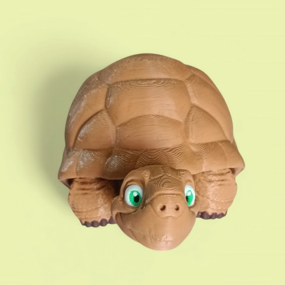 Figura De Tortuga Articulada 9