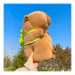 Juguetes De Peluche De Capibara Y Mochilas Pequeñas Con Forma De Tortuga Marrón Claro - Miniatura 11