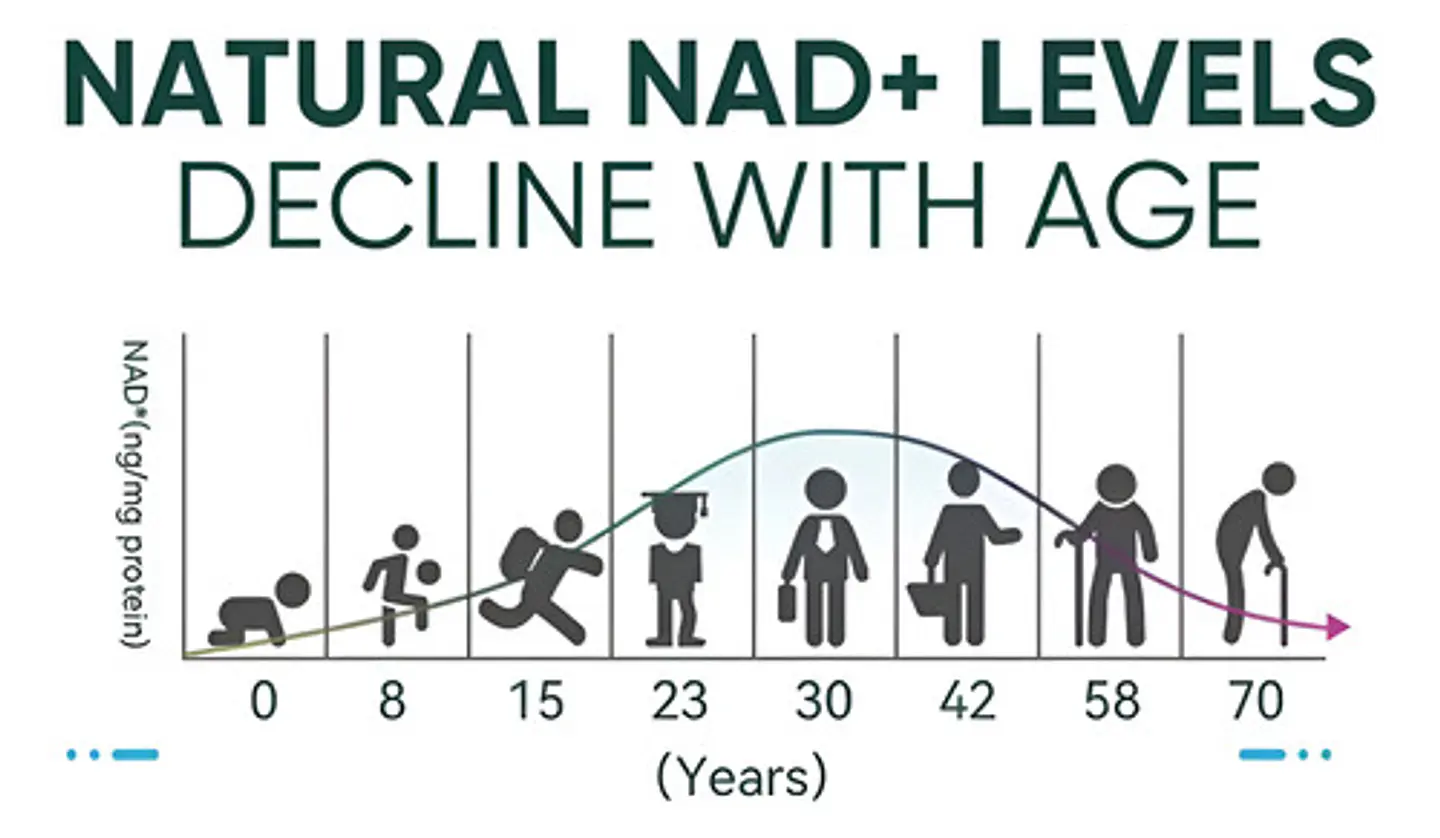 NAD+ Resveratrol Balincer 120 Capsulas sin Sabor 11