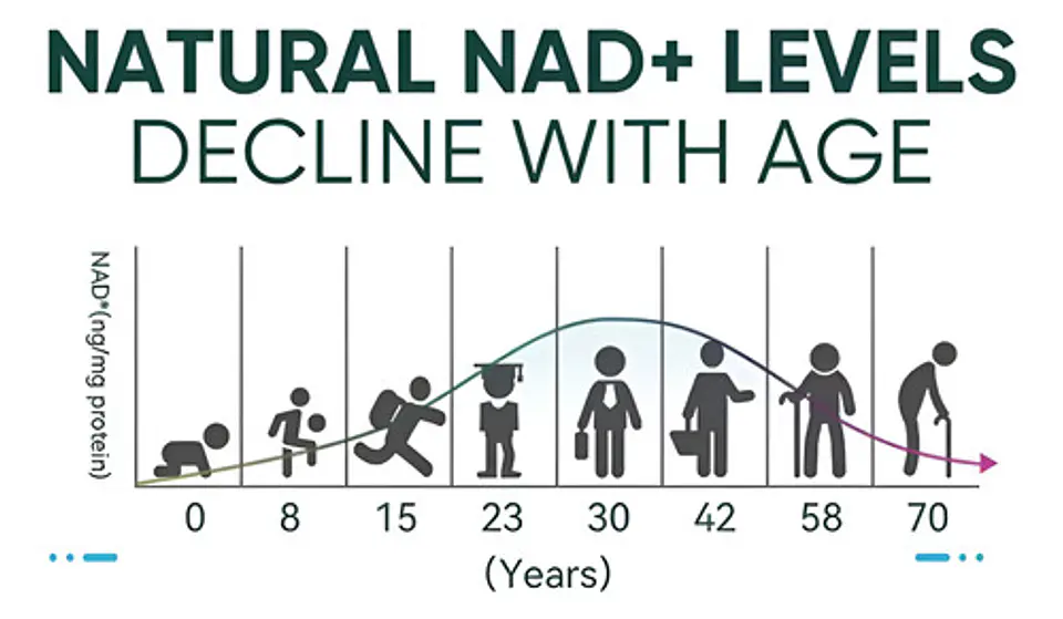 NAD+ Resveratrol Balincer 120 Capsulas sin Sabor 11