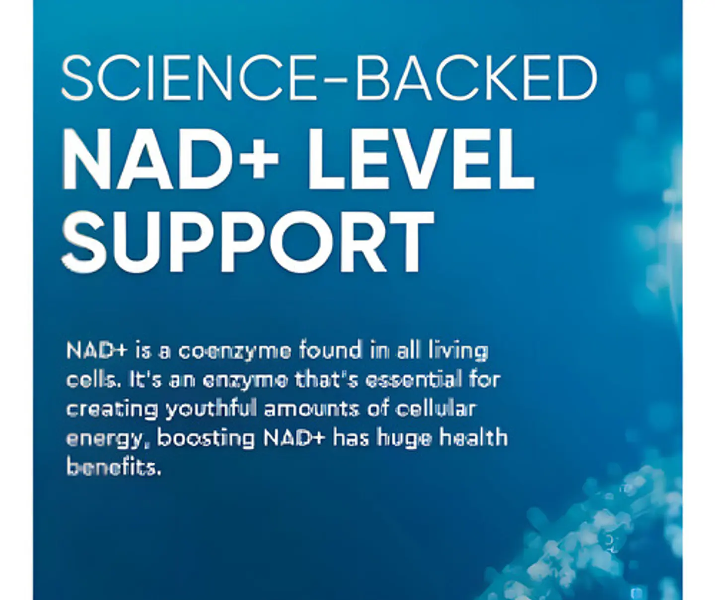 NAD+ Resveratrol Balincer 120 Capsulas sin Sabor 12